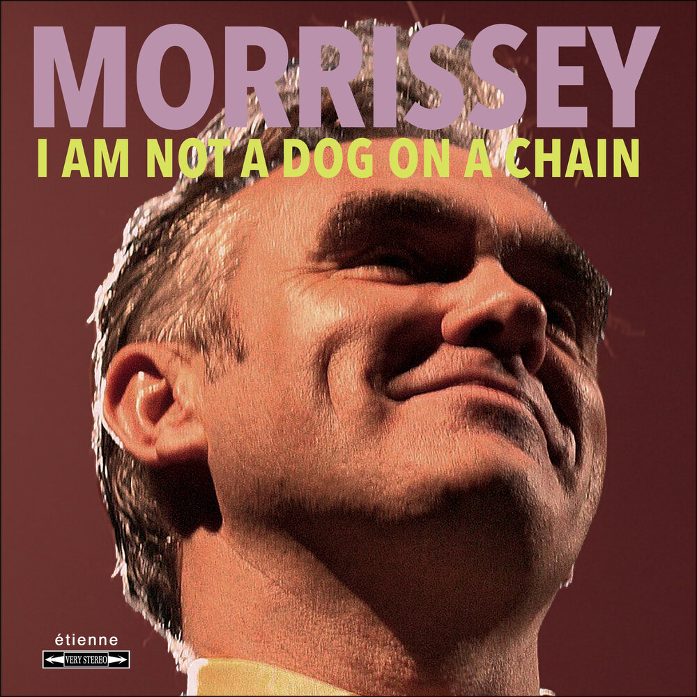 New Album “I AM NOT A DOG ON A CHAIN” Out Now! - Featuring “Bobby, Don’t You Think They Know?” with R&B Icon Thelma Houston